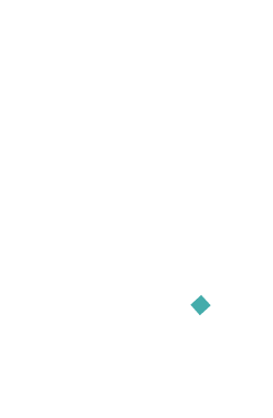 Icon for the the telehealth patient portal link